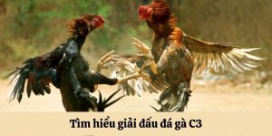 Đá Gà C3 – Giải Trí Nhanh Chóng Với Cơ Hội Săn Bạc Tỷ